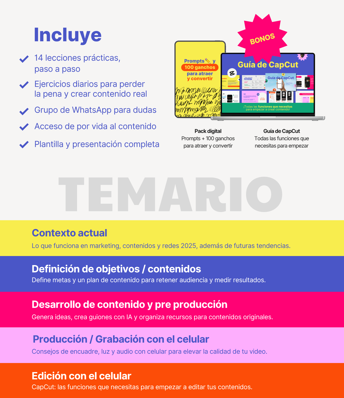 Incluye 14 lecciones, ejercicios diarios, grupo de WhatsApp, acceso de por vida y bonos